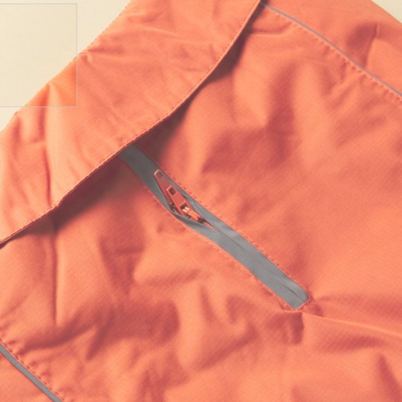 Winter Dogs Jacket - Picture 3 of 3